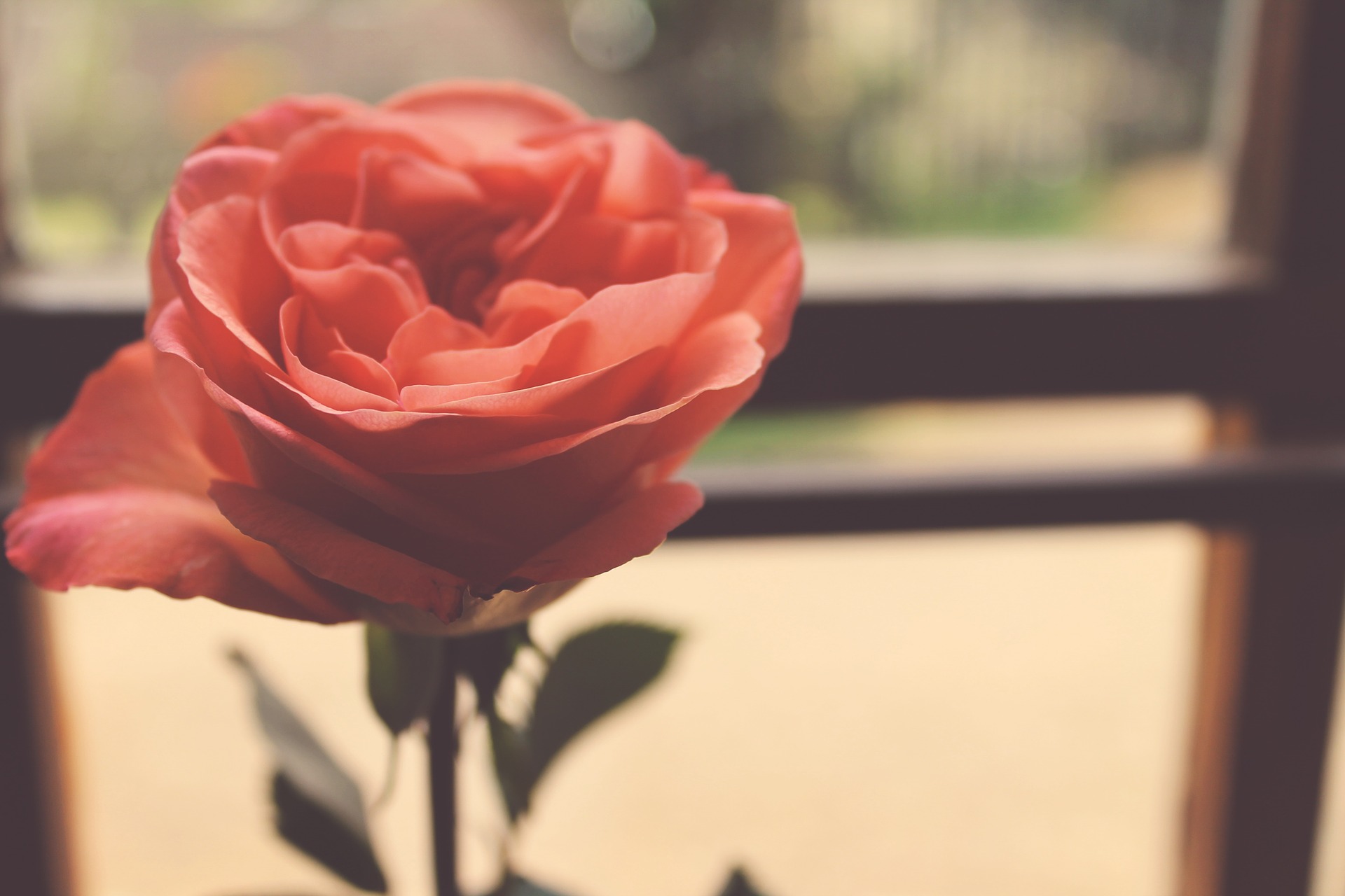 valentines-day-beauty-offers